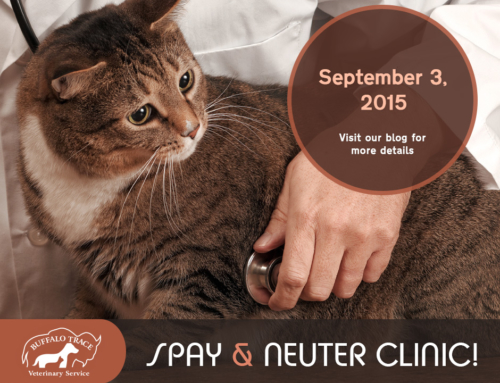 Buffalo Trace Cat Spay & Neuter Clinic
