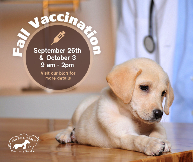 Buffalo Trace Fall Vaccination Clinic » Versailles, KY