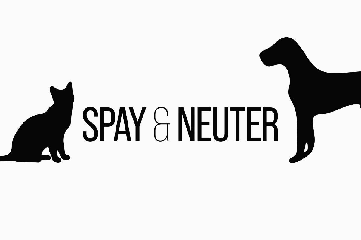a-silhouette-of-a-dog-and-cat-with-the-words-spay-neuter-near-versailles-kentucky-ky-1200px A silhouette of a dog and cat with the words “Spay & Neuter” near Versailles, Kentucky (KY)